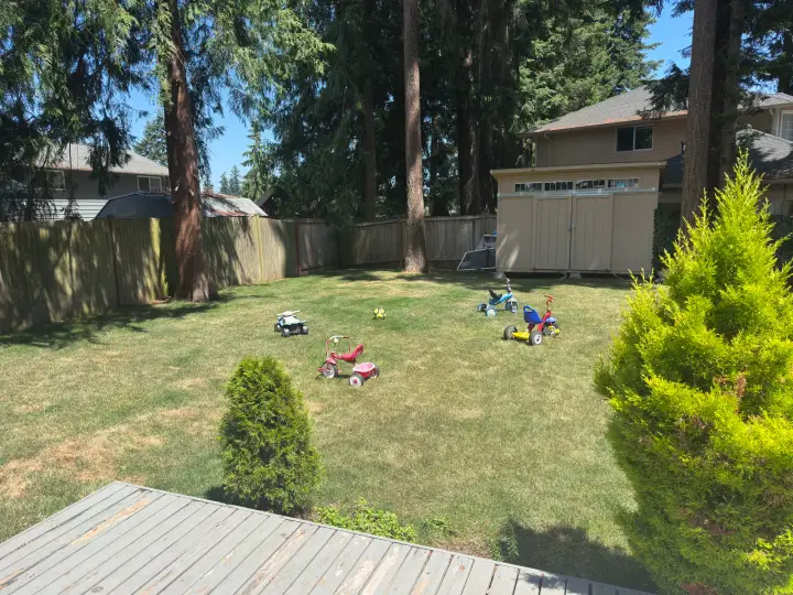 Shaded backyard lawn with tricycles and tall evergreen trees at Angel Family Daycare in Lynnwood
