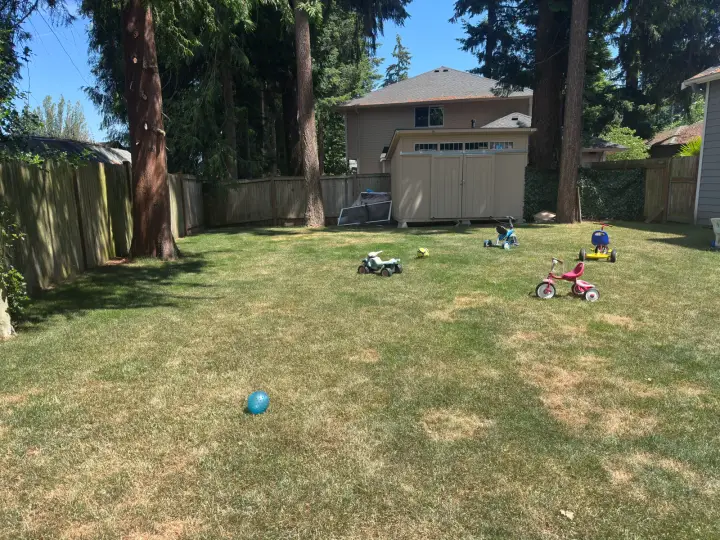 Grassy backyard play area with children's tricycles and a storage shed at the Lynnwood home daycare